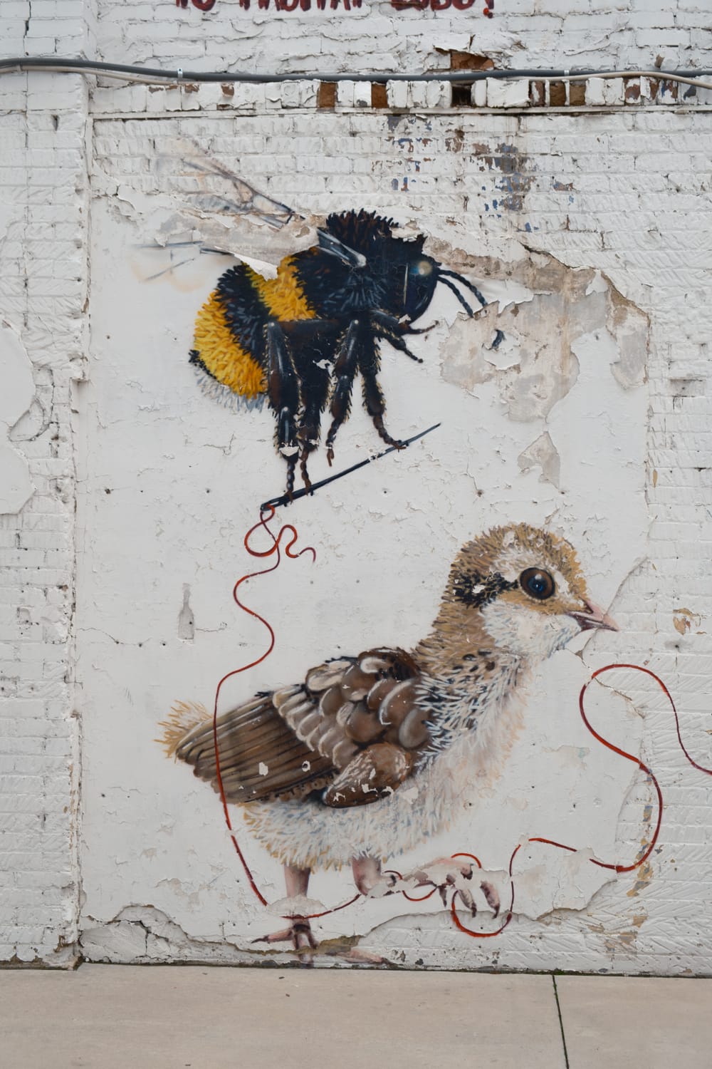 Some Provo Street Photography